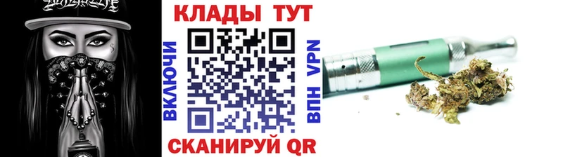 МЕФ Злынка