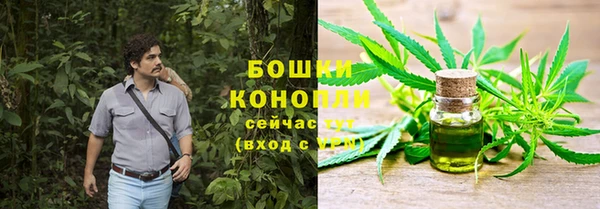 MESCALINE Болотное