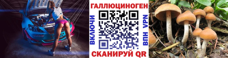Псилоцибиновые грибы Cubensis  как найти закладки  Злынка 
