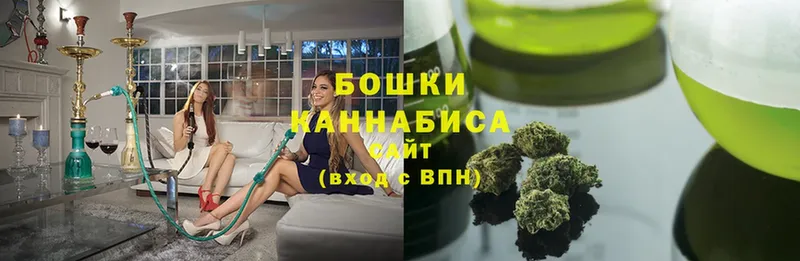 Марихуана SATIVA & INDICA  сколько стоит  Злынка 